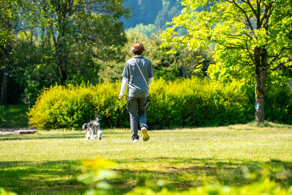 福井県総合グリーンセンター