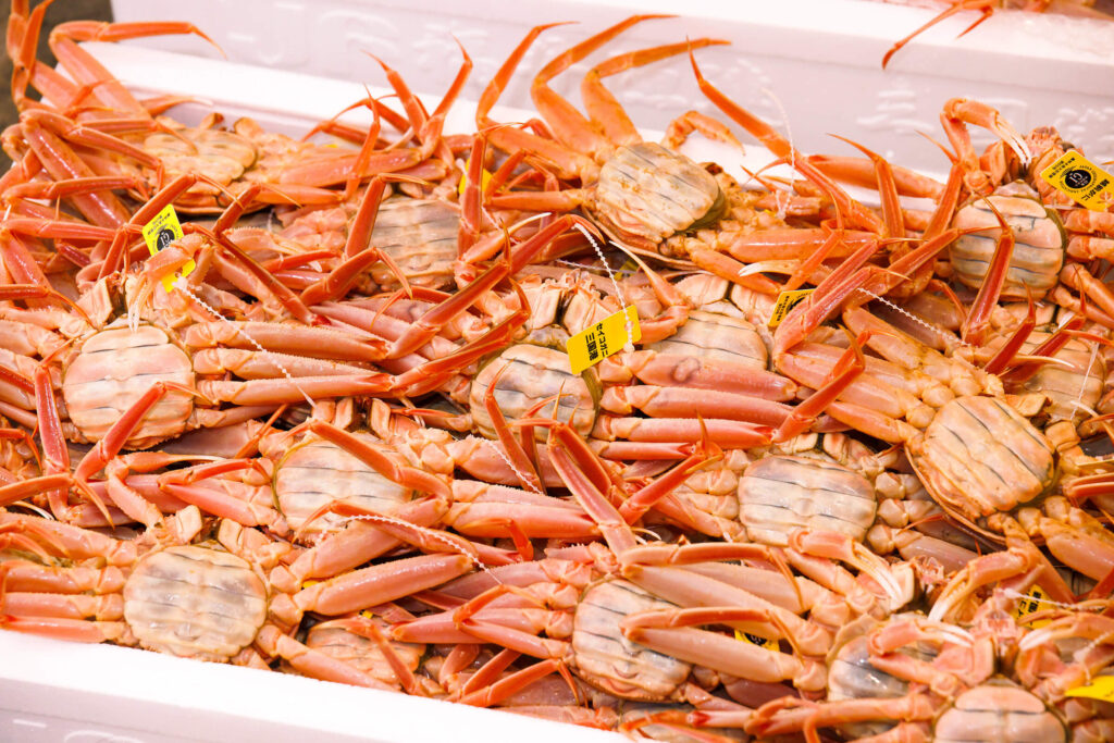 福井が凝縮された食と観光の中心地