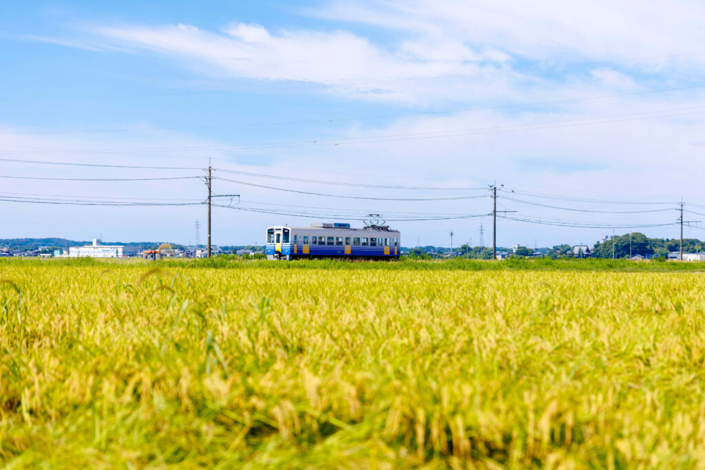 市街地と豊かな自然が隣接