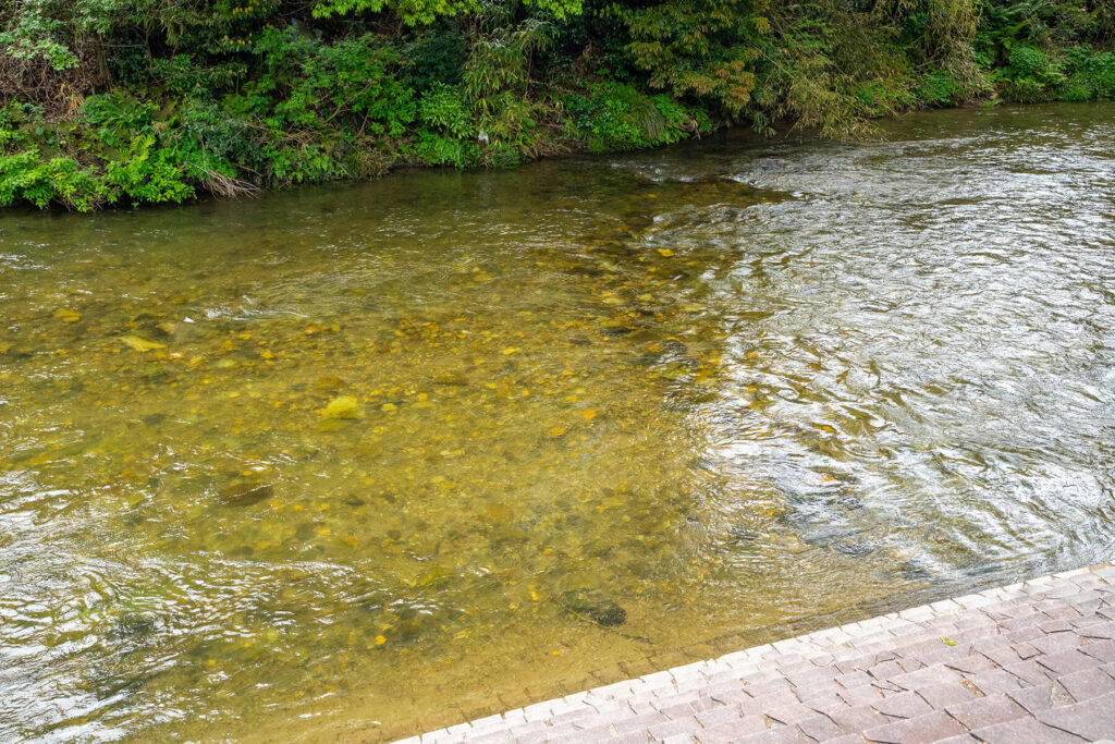 たけくらべ広場