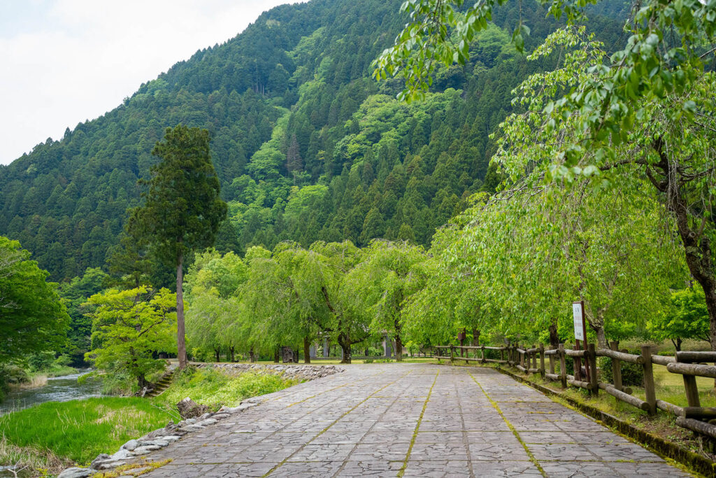 たけくらべ広場
