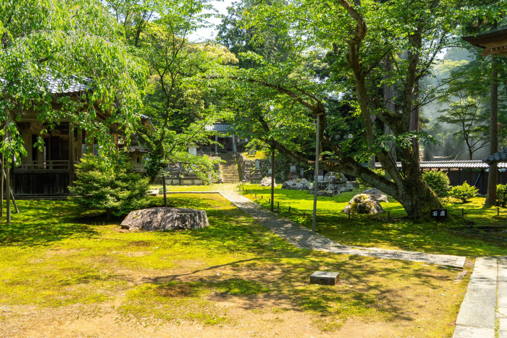 瀧谷寺（たきだんじ）